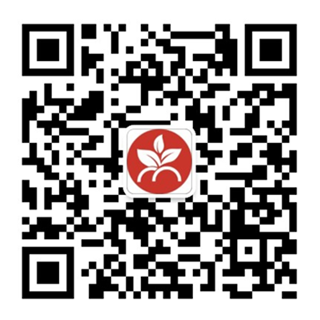 北京象屿数科官网